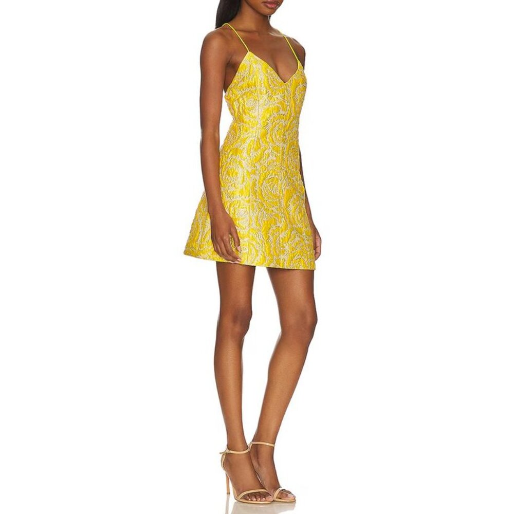 Alice and Olivia NWT adorable dress. Perfect for homecoming or other event.